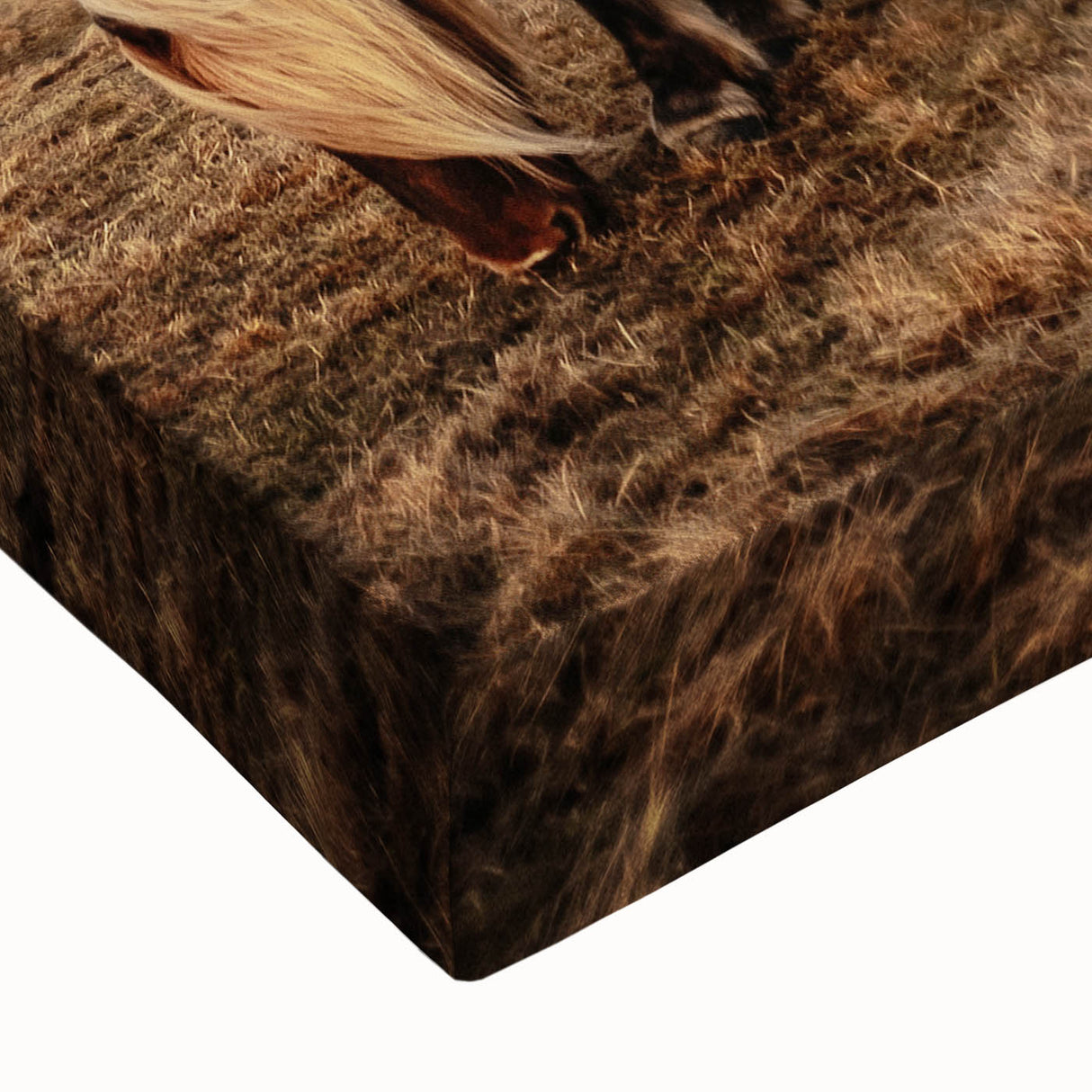 Rustic Wall Art - Wild Horse in Mountain Landscape for Farmhouse Decor