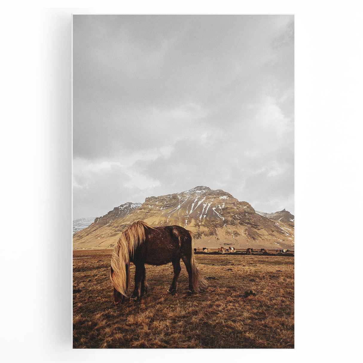 Rustic Wall Art - Wild Horse in Mountain Landscape for Farmhouse Decor