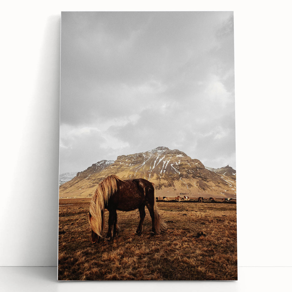 Rustic Wall Art - Wild Horse in Mountain Landscape for Farmhouse Decor