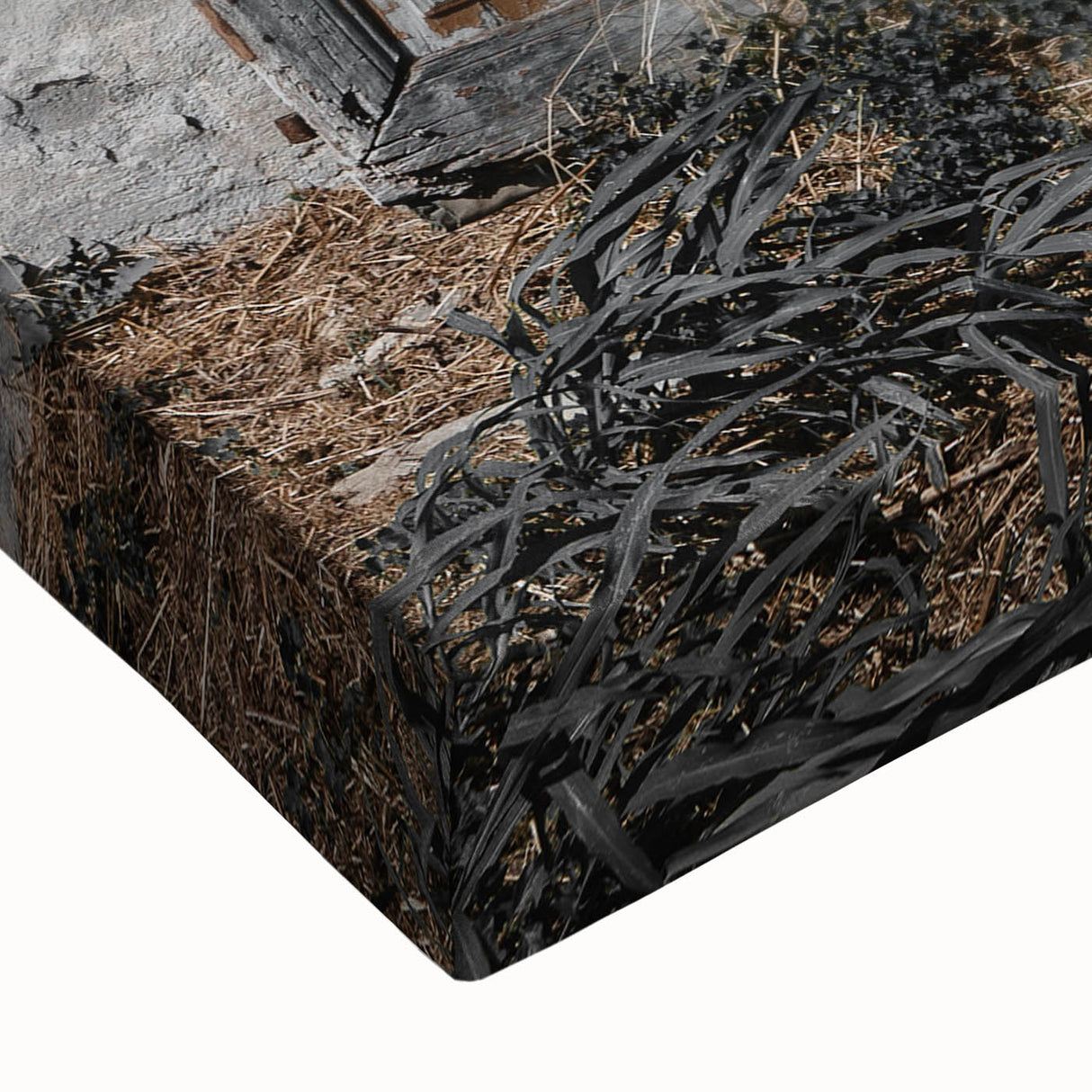 Rustic Art - Weathered Doorway of Abandoned Building Wall Decor