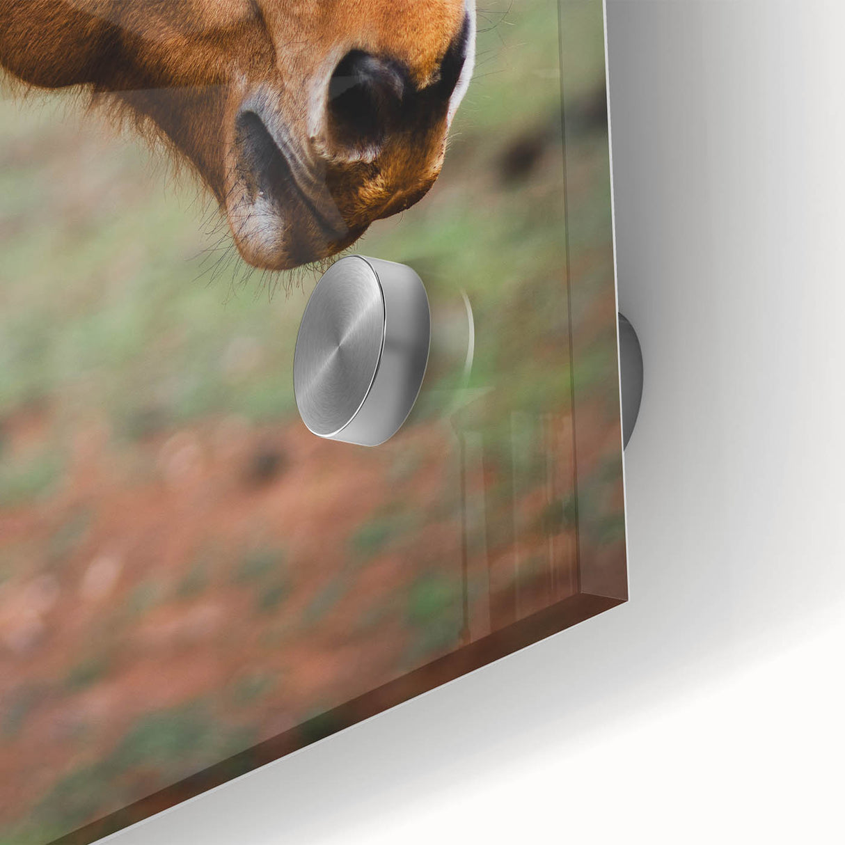 Rustic Farmhouse Art - Close-Up Horse Portrait for Rustic Wall Decor