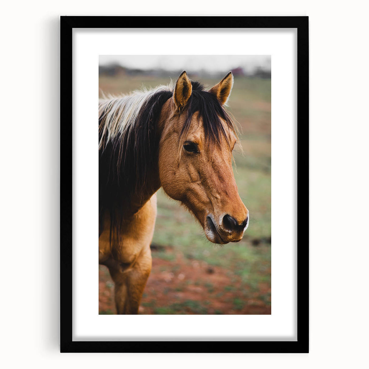 Rustic Farmhouse Art - Close-Up Horse Portrait for Rustic Wall Decor