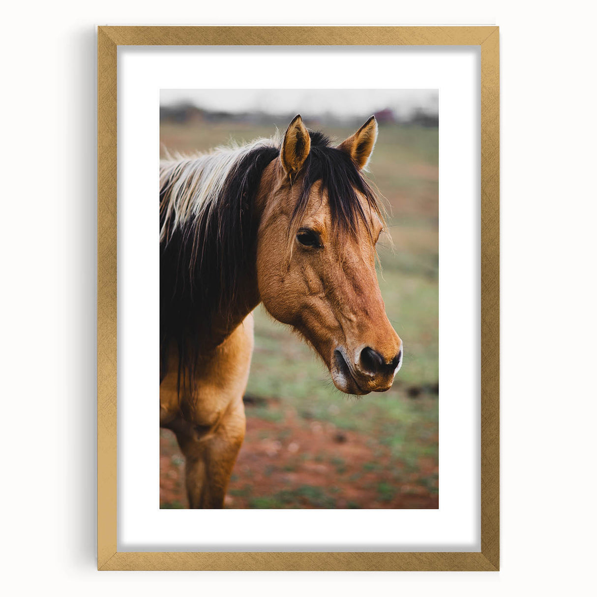 Rustic Farmhouse Art - Close-Up Horse Portrait for Rustic Wall Decor