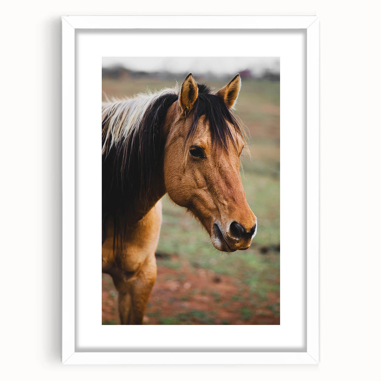Rustic Farmhouse Art - Close-Up Horse Portrait for Rustic Wall Decor