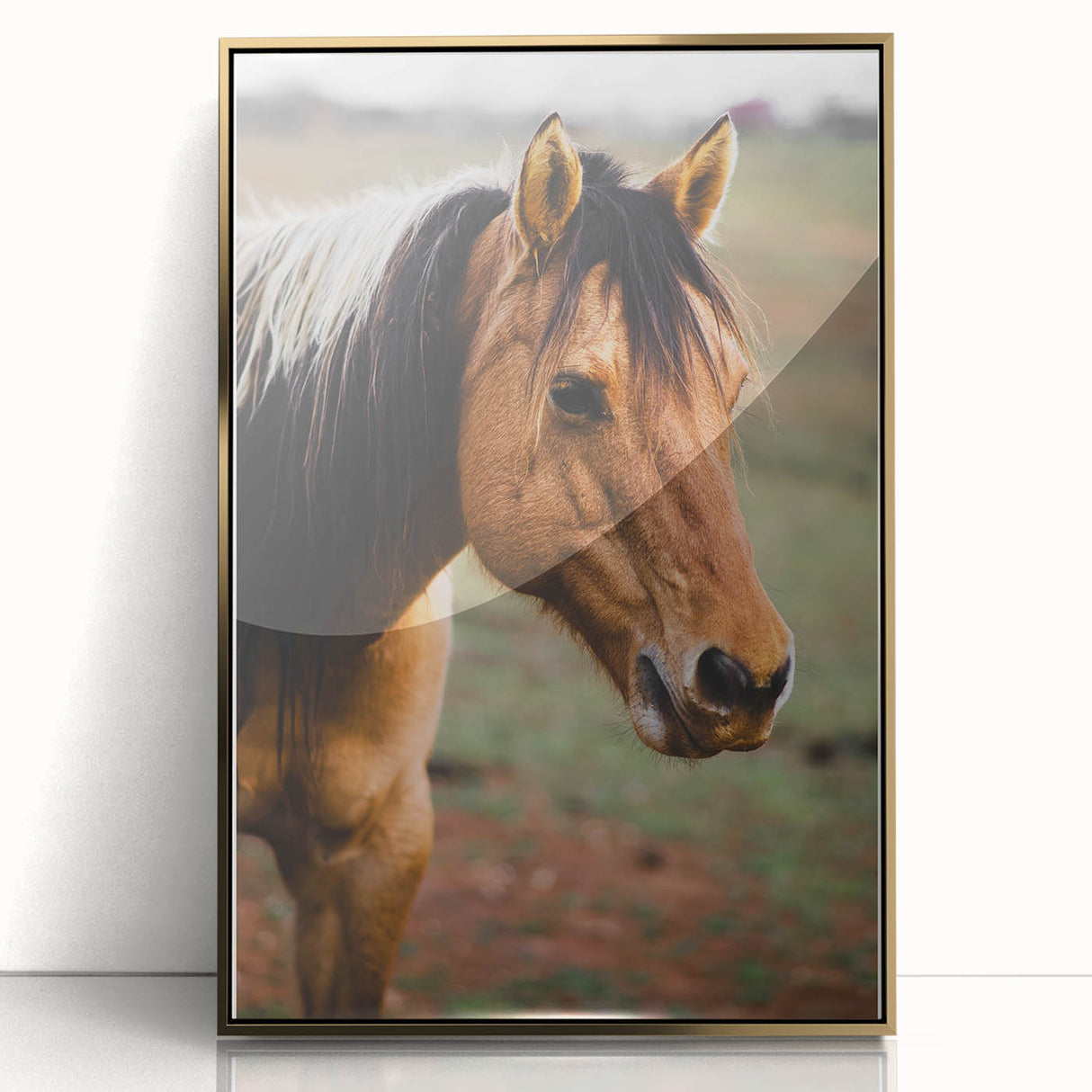 Rustic Farmhouse Art - Close-Up Horse Portrait for Rustic Wall Decor