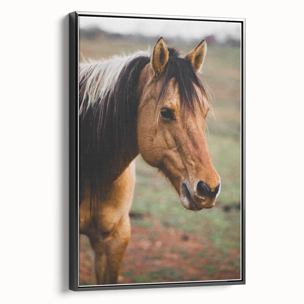 Rustic Farmhouse Art - Close-Up Horse Portrait for Rustic Wall Decor