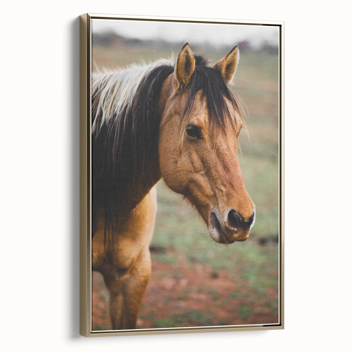 Rustic Farmhouse Art - Close-Up Horse Portrait for Rustic Wall Decor