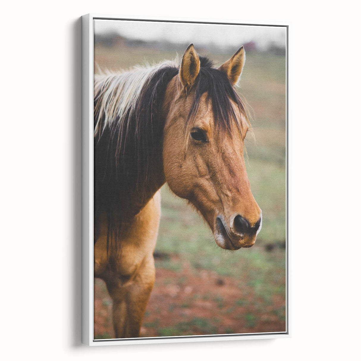 Rustic Farmhouse Art - Close-Up Horse Portrait for Rustic Wall Decor