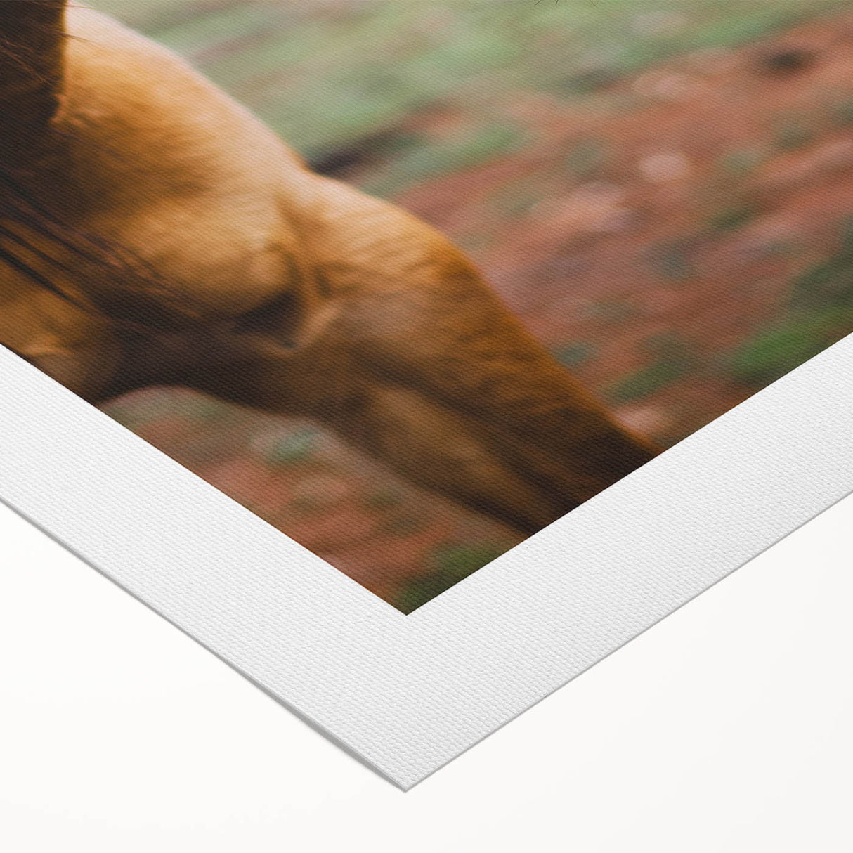 Rustic Farmhouse Art - Close-Up Horse Portrait for Rustic Wall Decor