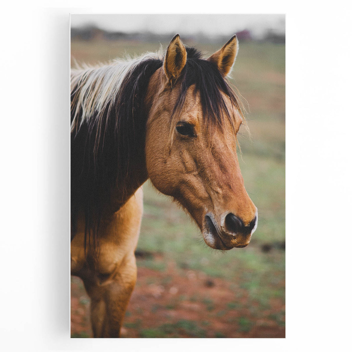 Rustic Farmhouse Art - Close-Up Horse Portrait for Rustic Wall Decor