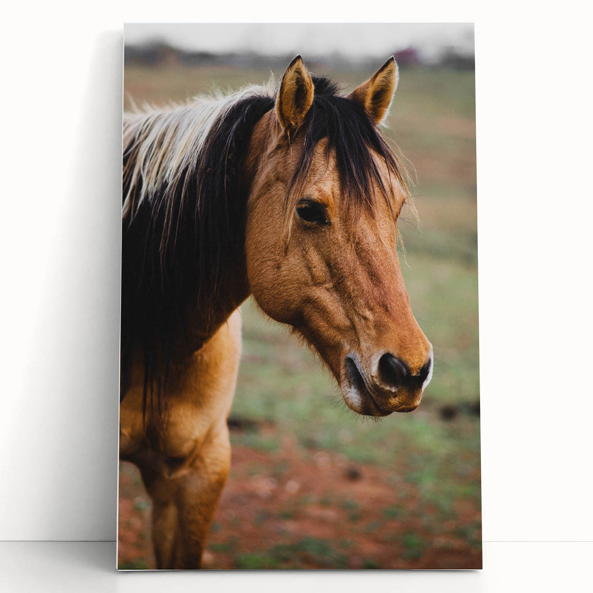 Rustic Farmhouse Art - Close-Up Horse Portrait for Rustic Wall Decor