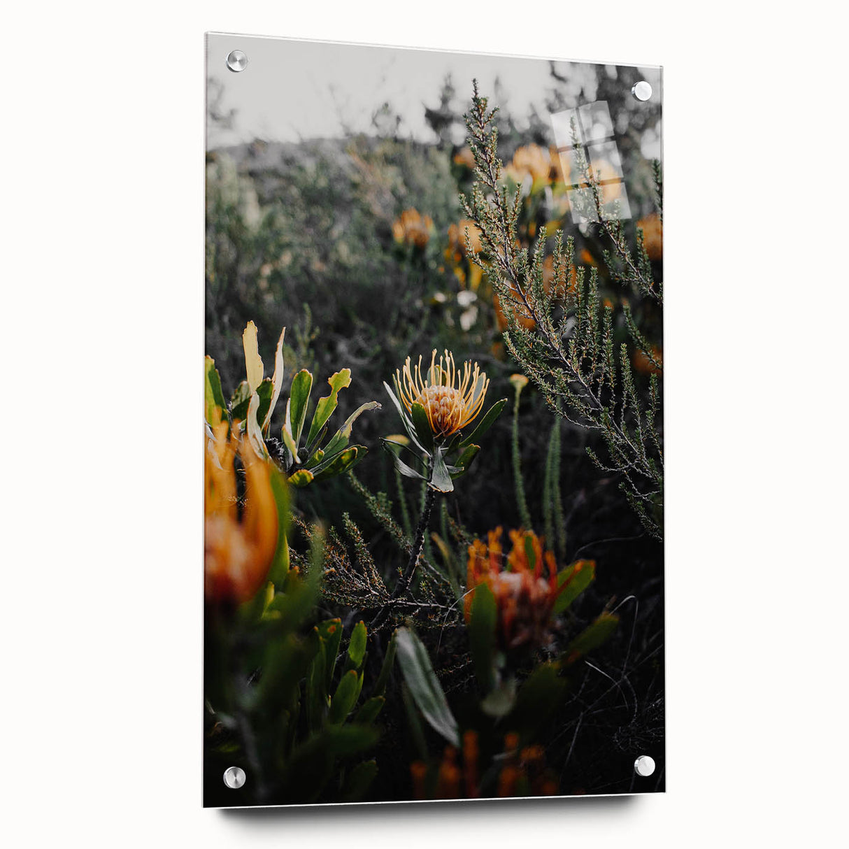 Rustic Floral Wall Art - Wildflowers and Greenery for Rustic Decor