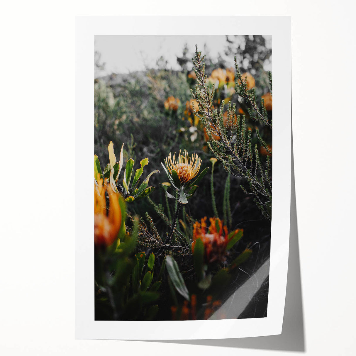 Rustic Floral Wall Art - Wildflowers and Greenery for Rustic Decor