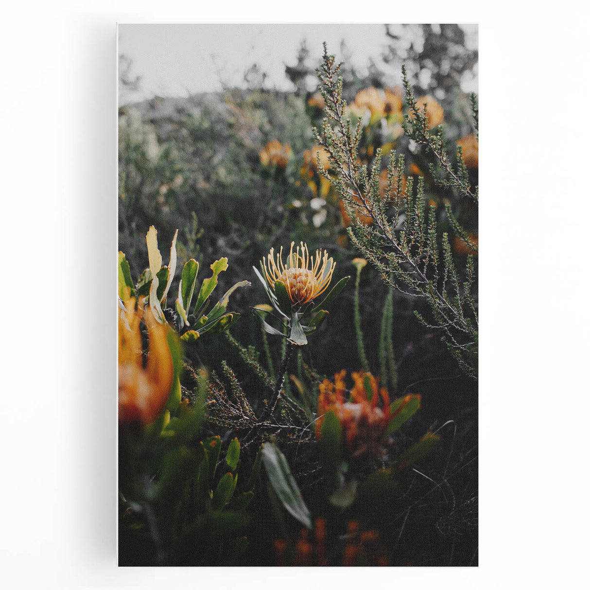 Rustic Floral Wall Art - Wildflowers and Greenery for Rustic Decor