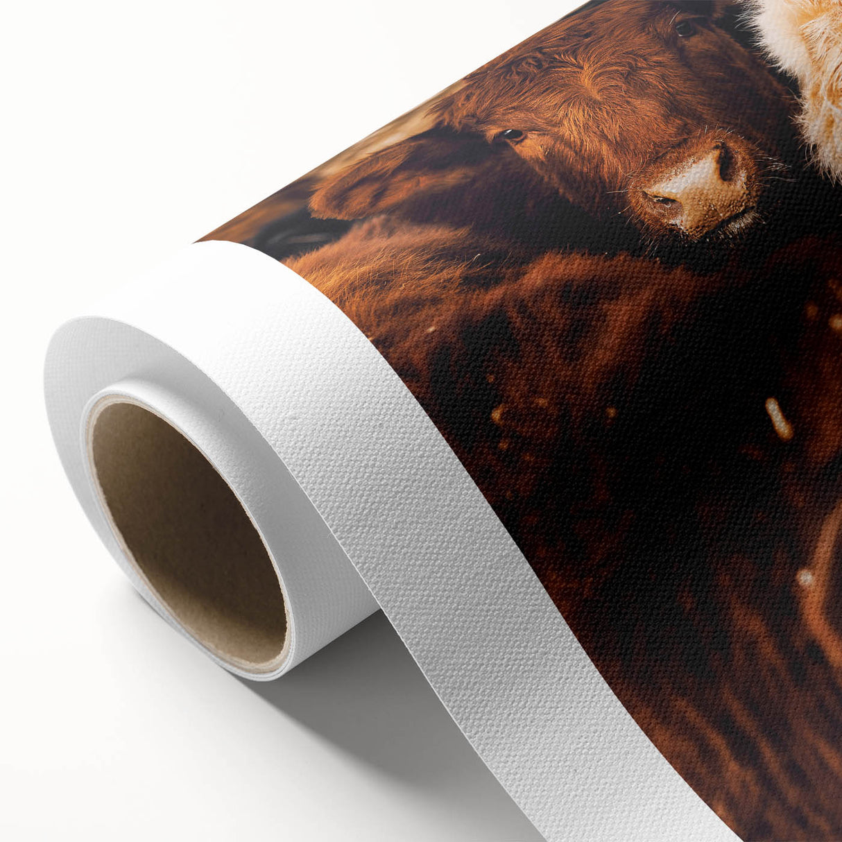 Rustic Farm Animal Wall Art - Close-Up Brown Calf for Farmhouse Decor