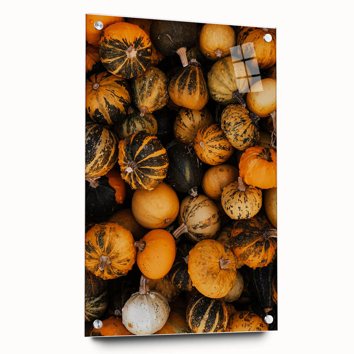 Rustic Fall Wall Art - Decorative Gourds and Pumpkins for Farmhouse Decor