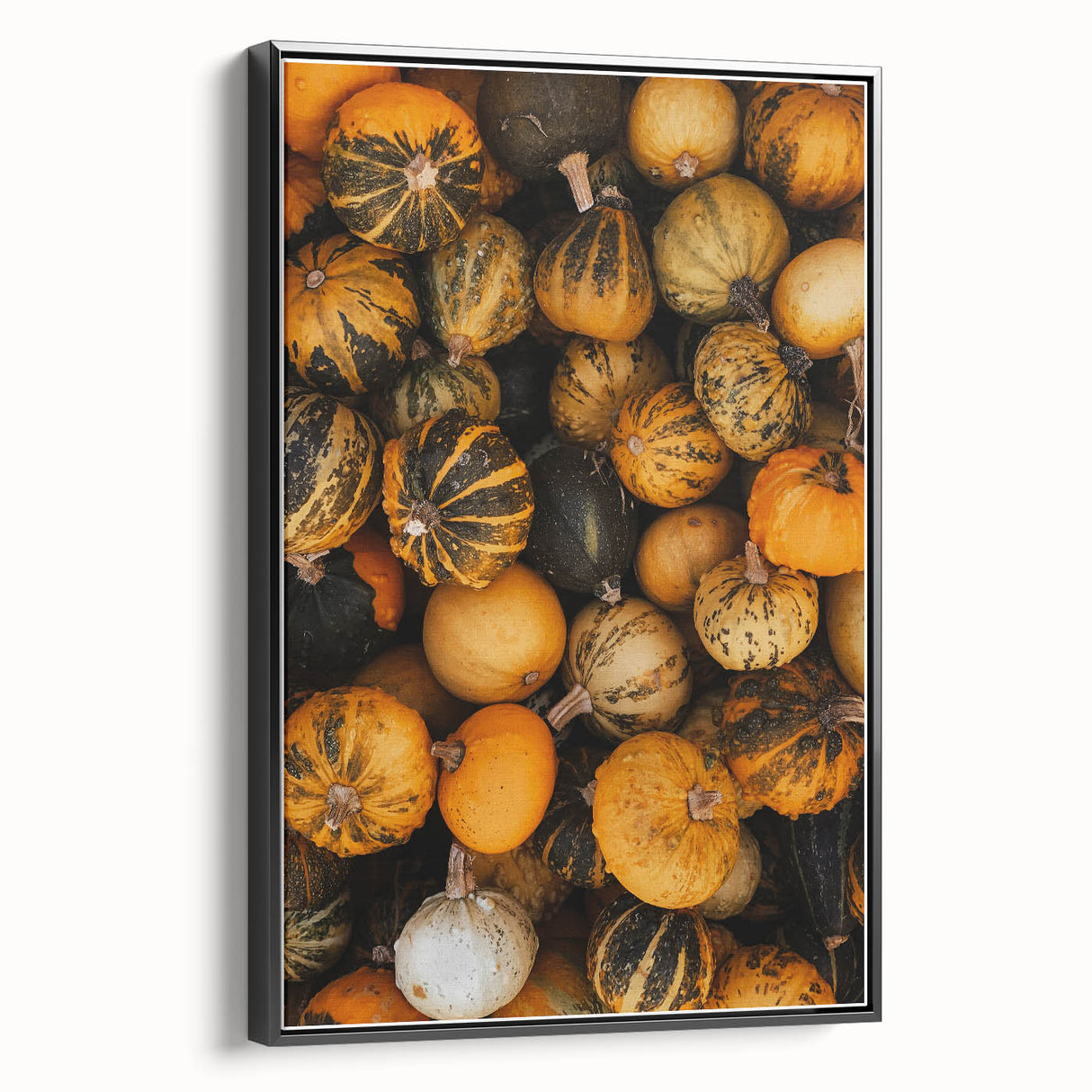 Rustic Fall Wall Art - Decorative Gourds and Pumpkins for Farmhouse Decor
