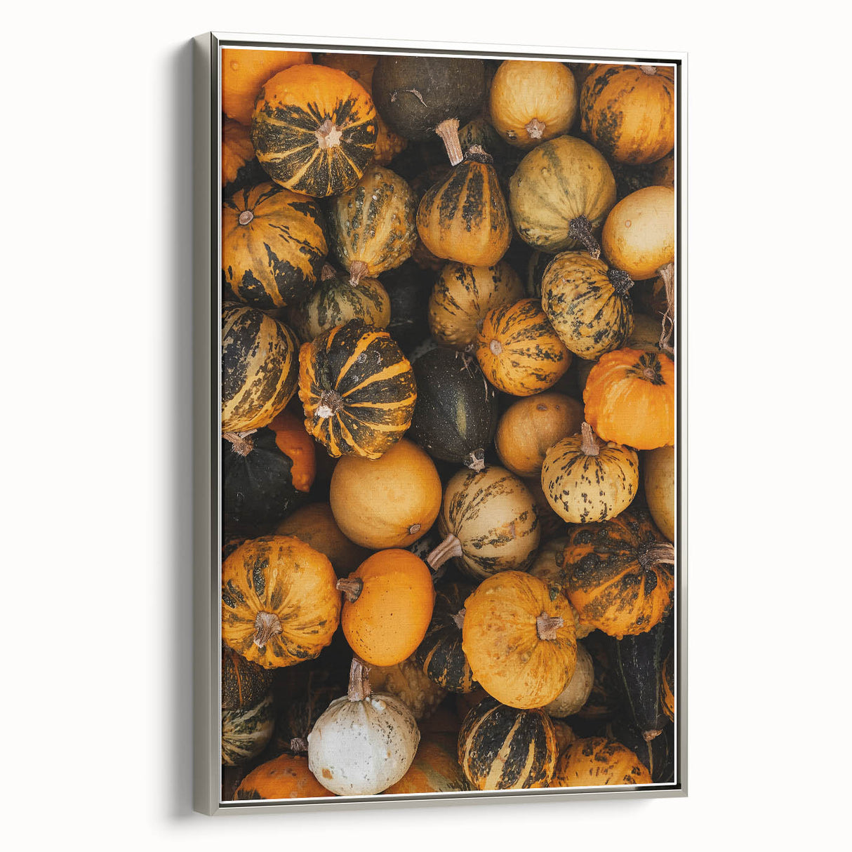 Rustic Fall Wall Art - Decorative Gourds and Pumpkins for Farmhouse Decor