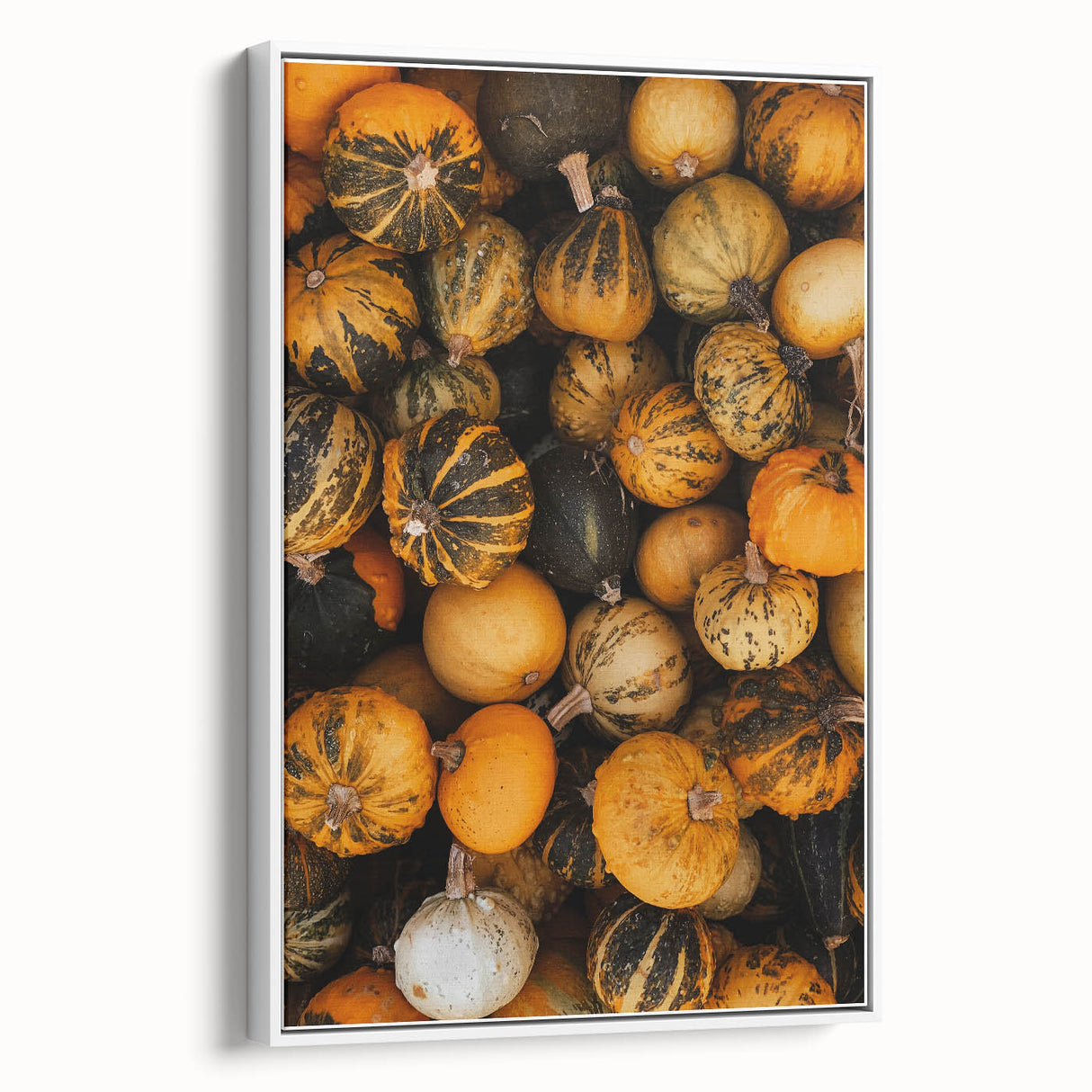 Rustic Fall Wall Art - Decorative Gourds and Pumpkins for Farmhouse Decor