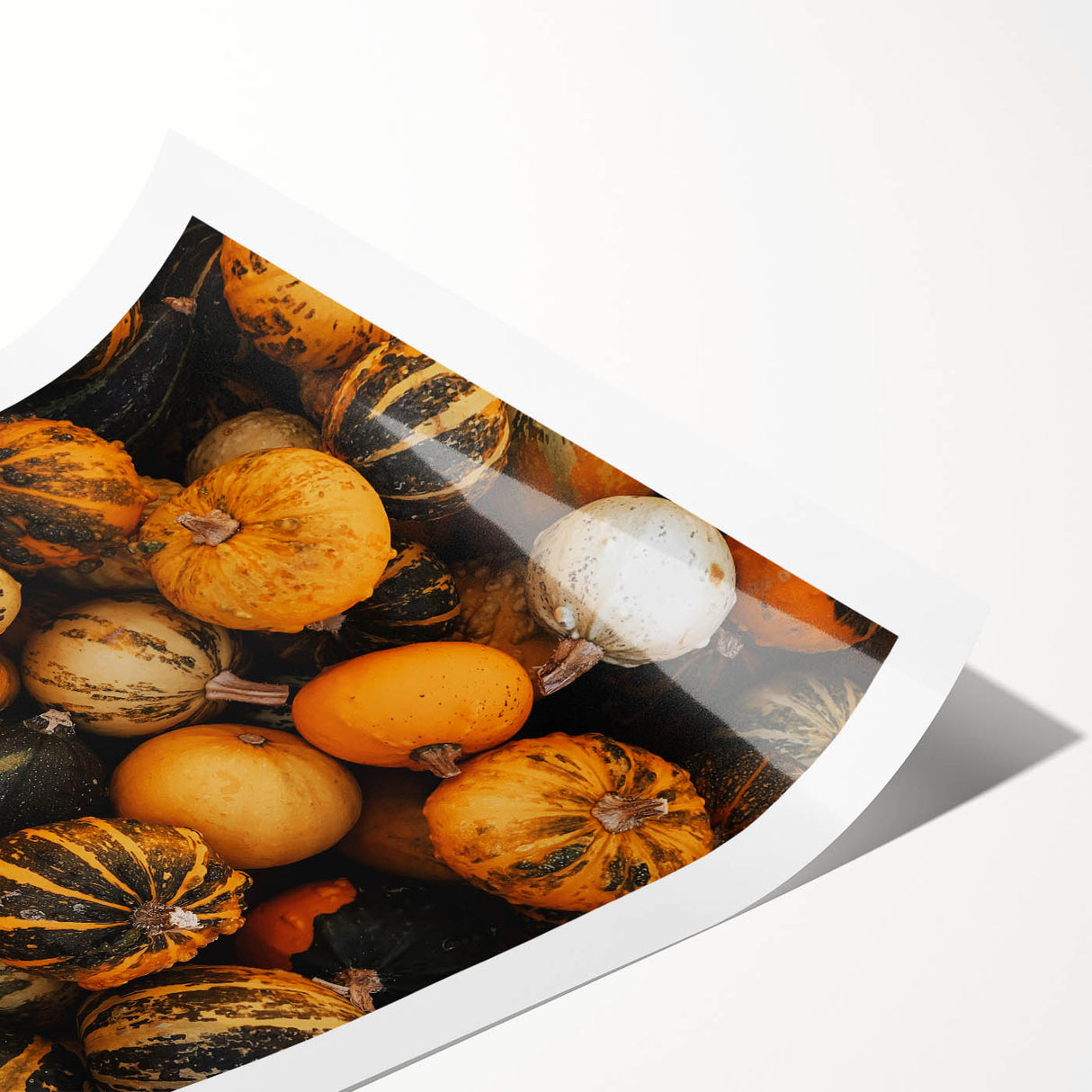 Rustic Fall Wall Art - Decorative Gourds and Pumpkins for Farmhouse Decor