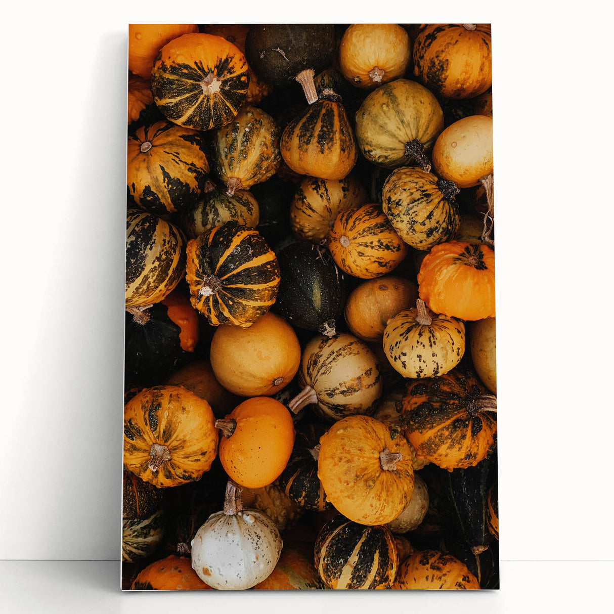 Rustic Fall Wall Art - Decorative Gourds and Pumpkins for Farmhouse Decor