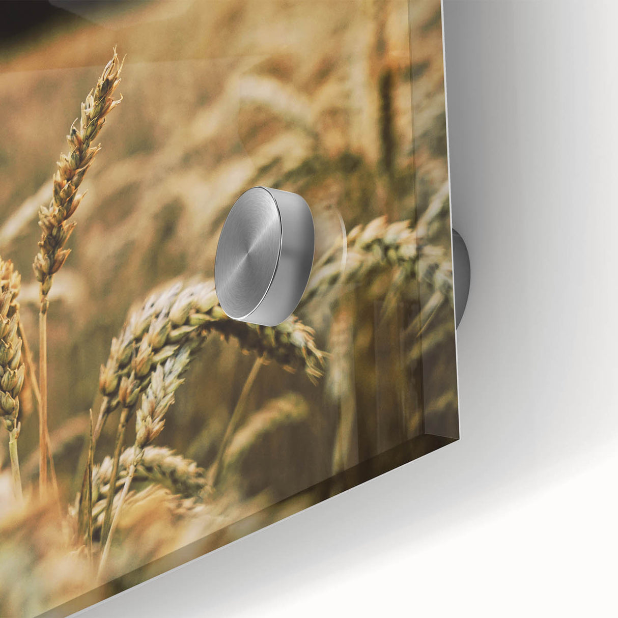 Rustic Wheat Field Wall Art - Nature-Inspired Farmhouse Decor