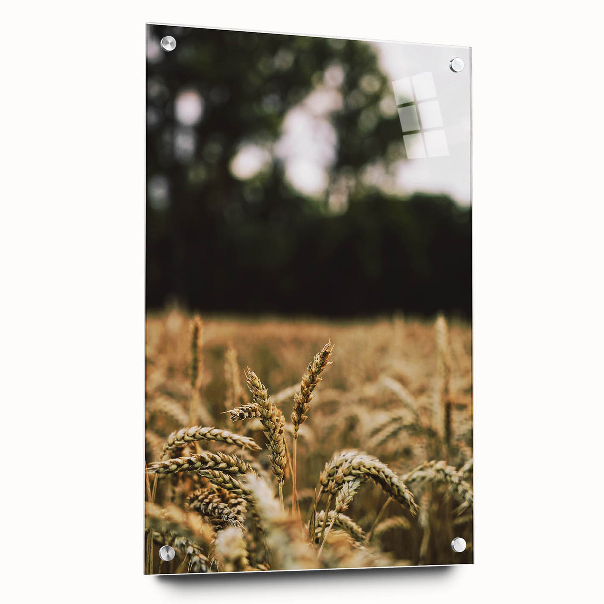 Rustic Wheat Field Wall Art - Nature-Inspired Farmhouse Decor