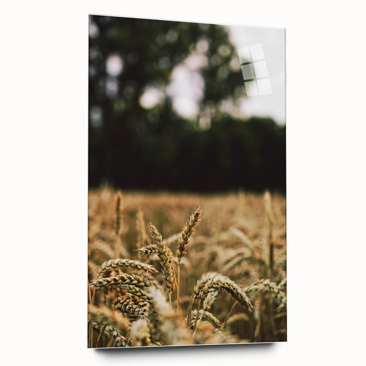 Rustic Wheat Field Wall Art - Nature-Inspired Farmhouse Decor