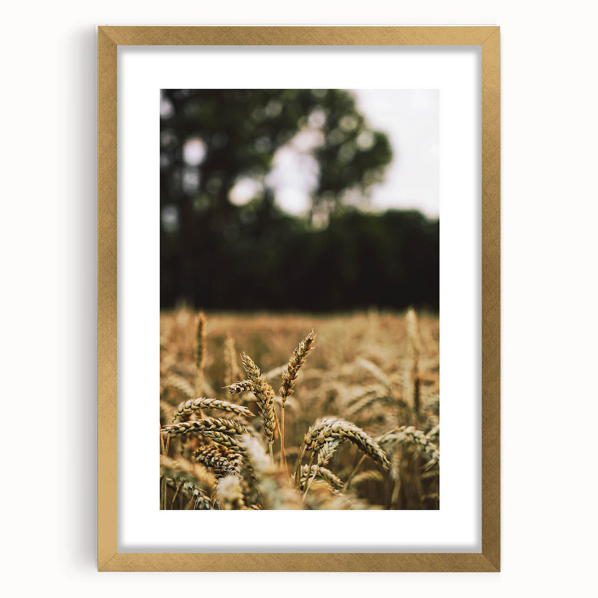 Rustic Wheat Field Wall Art - Nature-Inspired Farmhouse Decor