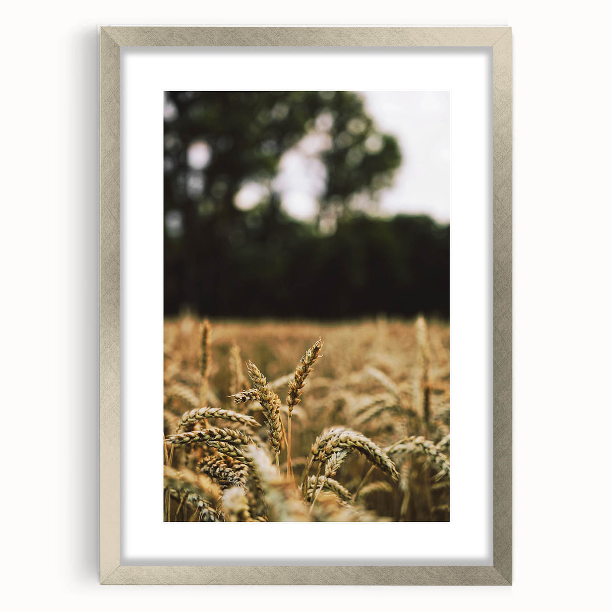 Rustic Wheat Field Wall Art - Nature-Inspired Farmhouse Decor