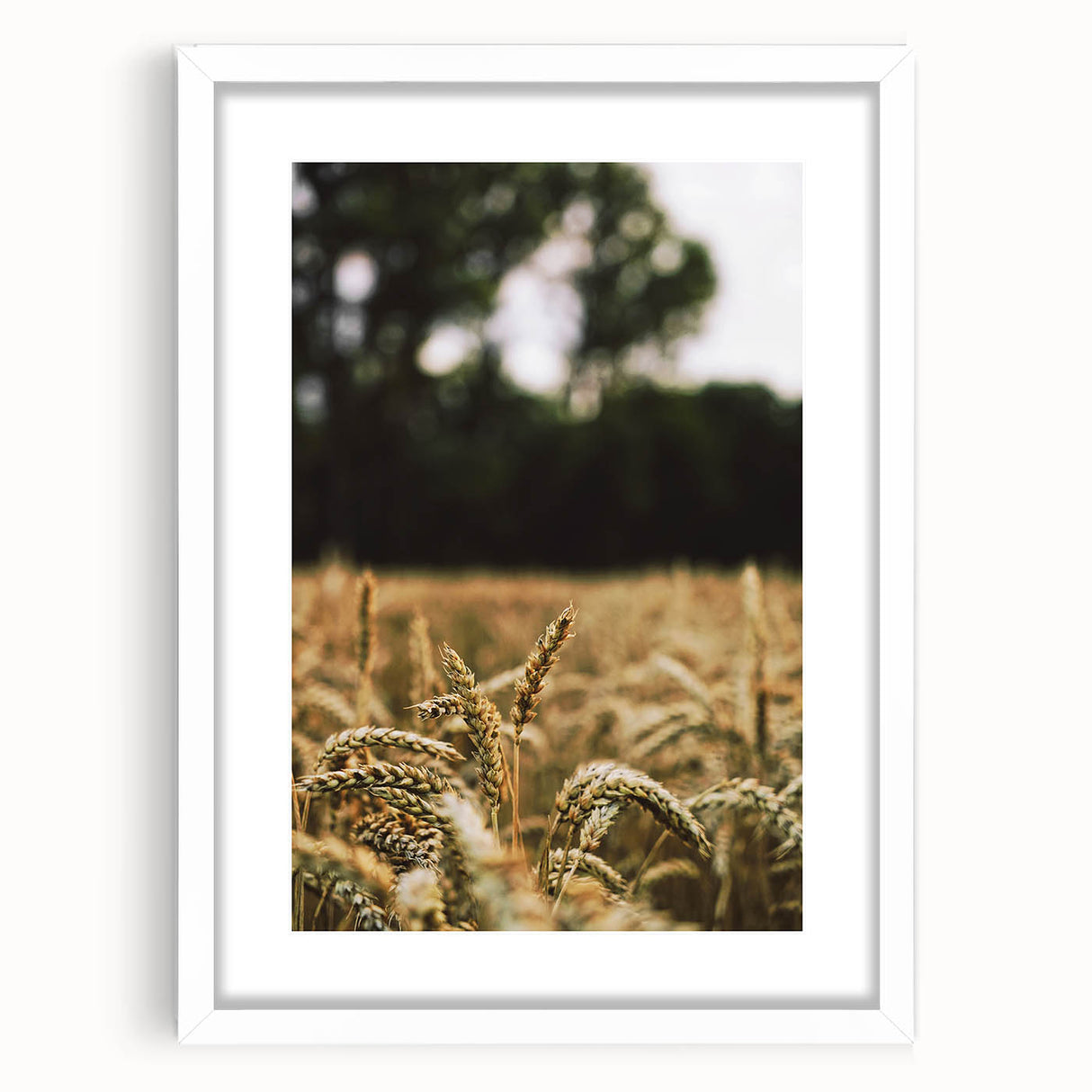 Rustic Wheat Field Wall Art - Nature-Inspired Farmhouse Decor