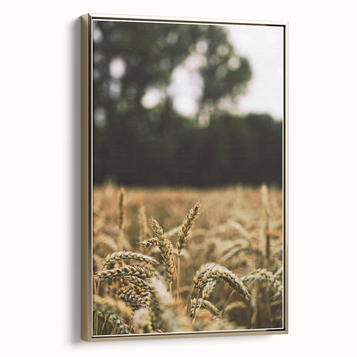 Rustic Wheat Field Wall Art - Nature-Inspired Farmhouse Decor