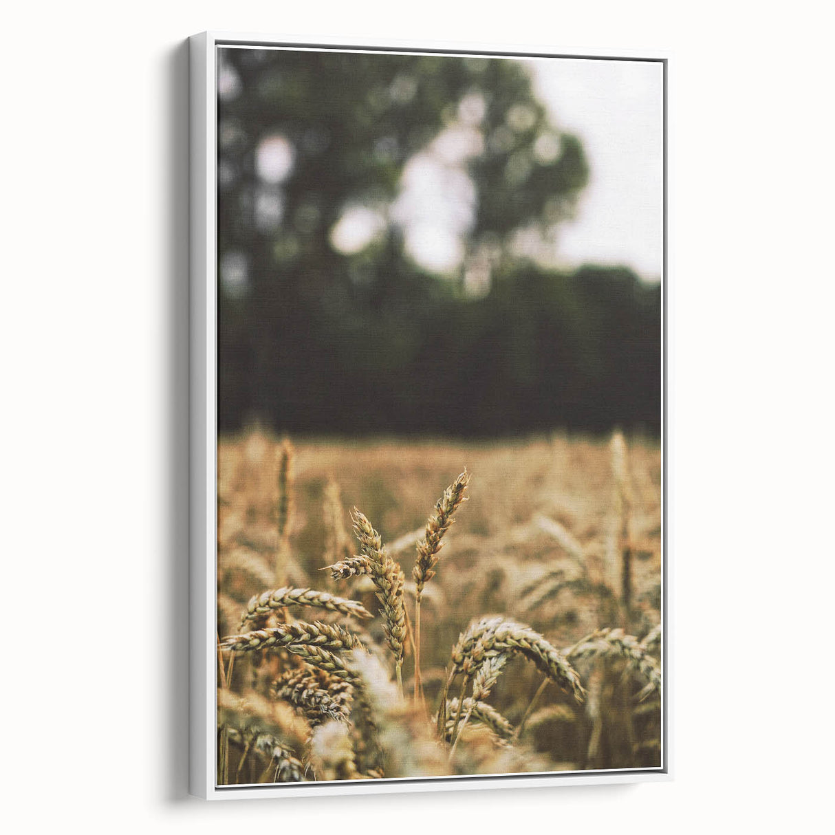 Rustic Wheat Field Wall Art - Nature-Inspired Farmhouse Decor