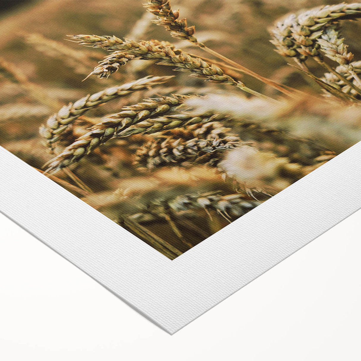 Rustic Wheat Field Wall Art - Nature-Inspired Farmhouse Decor