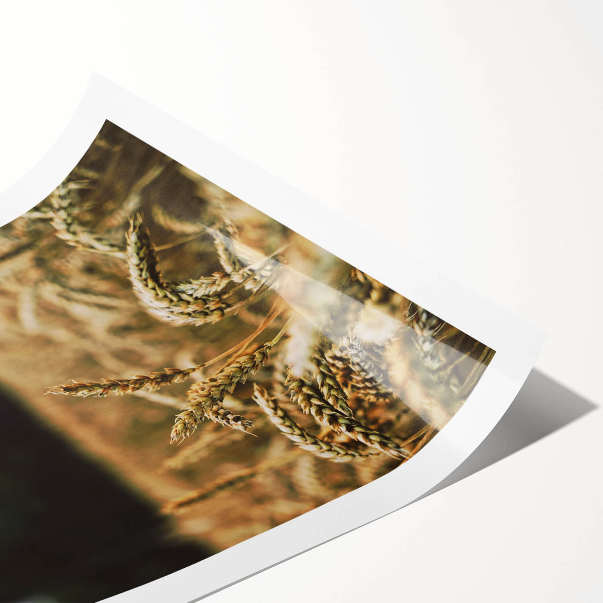 Rustic Wheat Field Wall Art - Nature-Inspired Farmhouse Decor