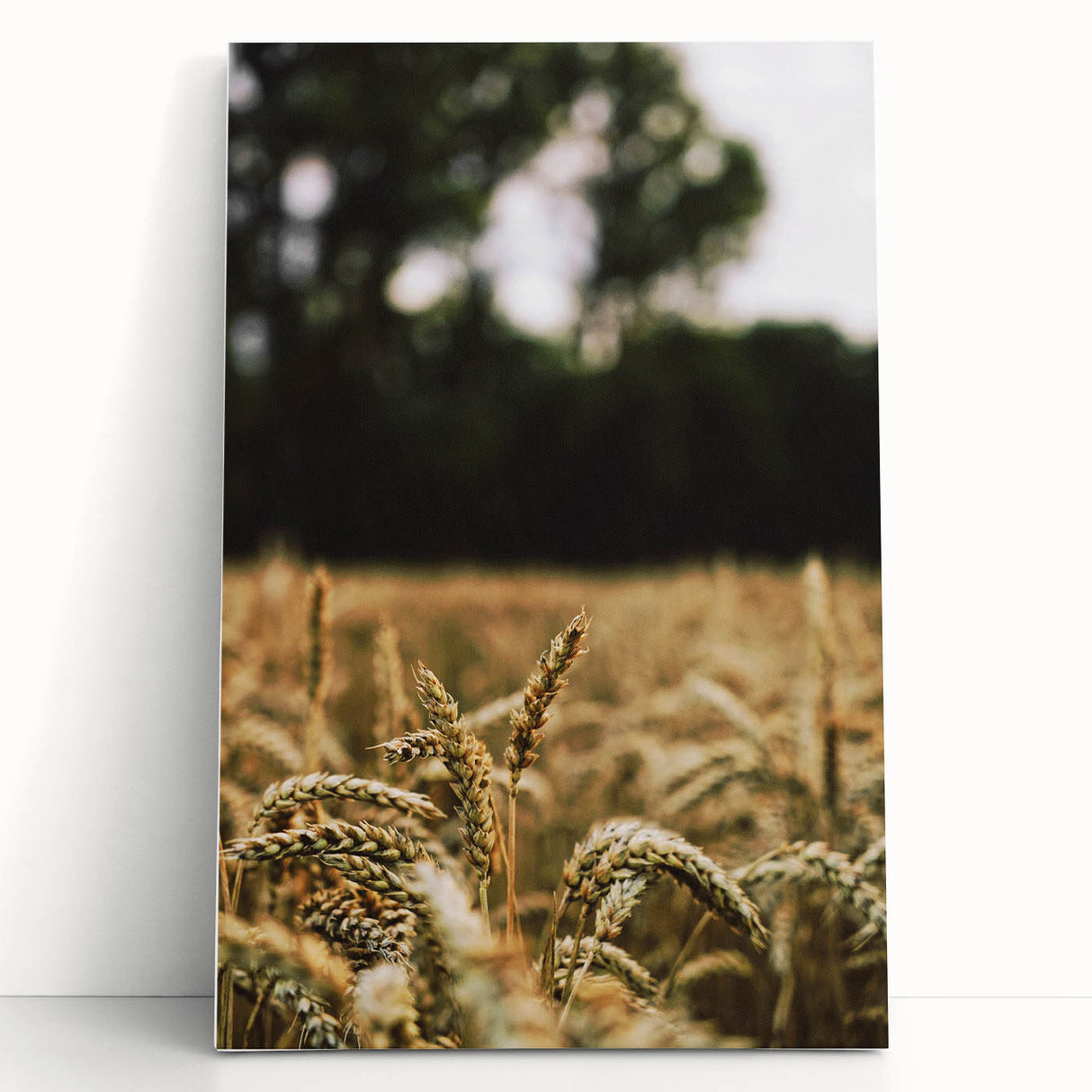 Rustic Wheat Field Wall Art - Nature-Inspired Farmhouse Decor