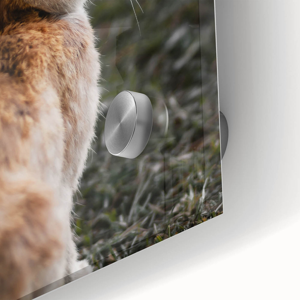 Rustic Bunny Wall Art – Farmhouse Decor with Natural Wildlife Charm