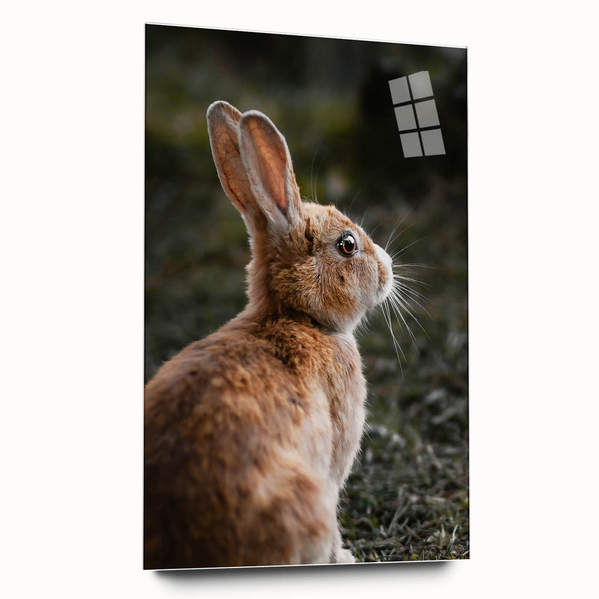 Rustic Bunny Wall Art – Farmhouse Decor with Natural Wildlife Charm