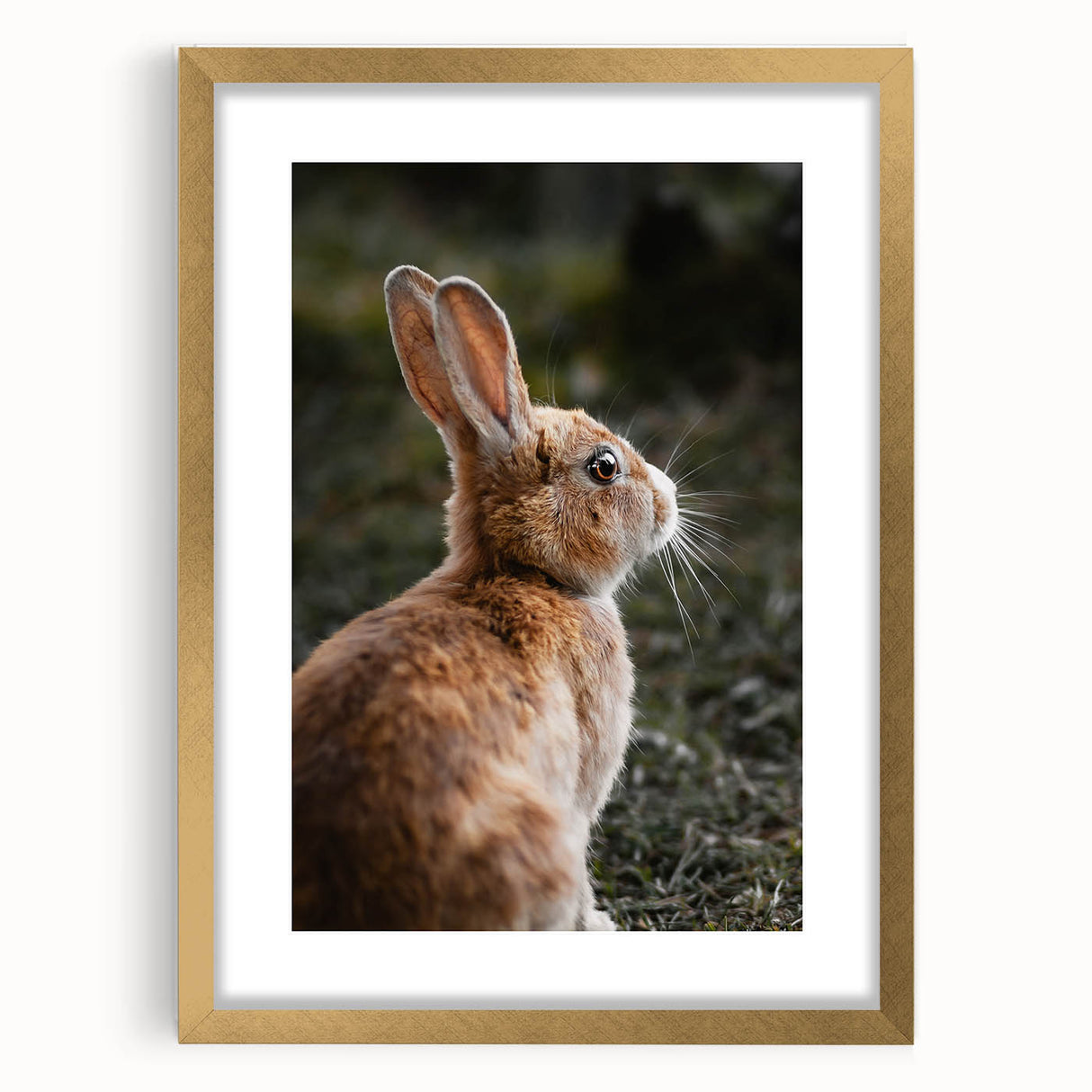 Rustic Bunny Wall Art – Farmhouse Decor with Natural Wildlife Charm