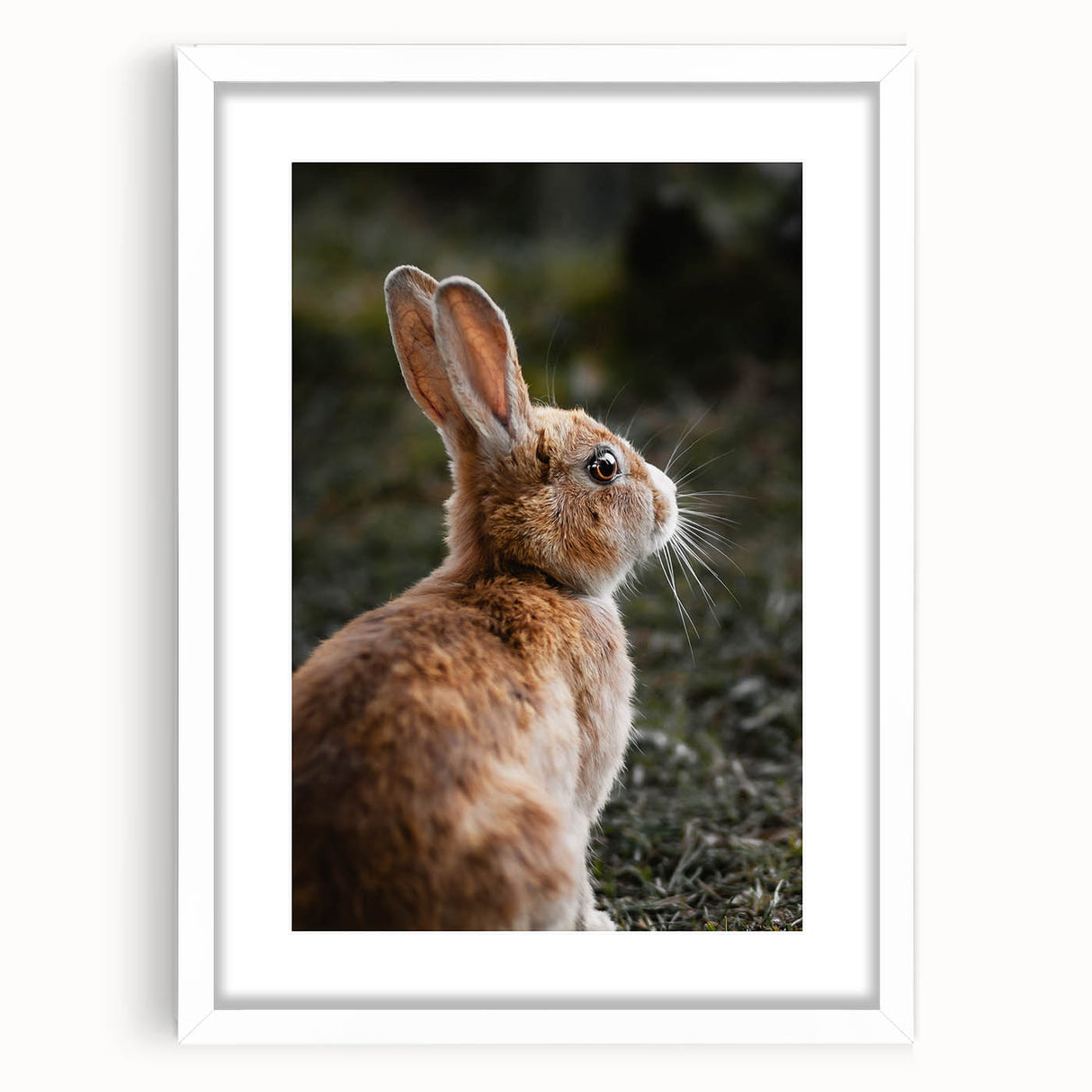 Rustic Bunny Wall Art – Farmhouse Decor with Natural Wildlife Charm