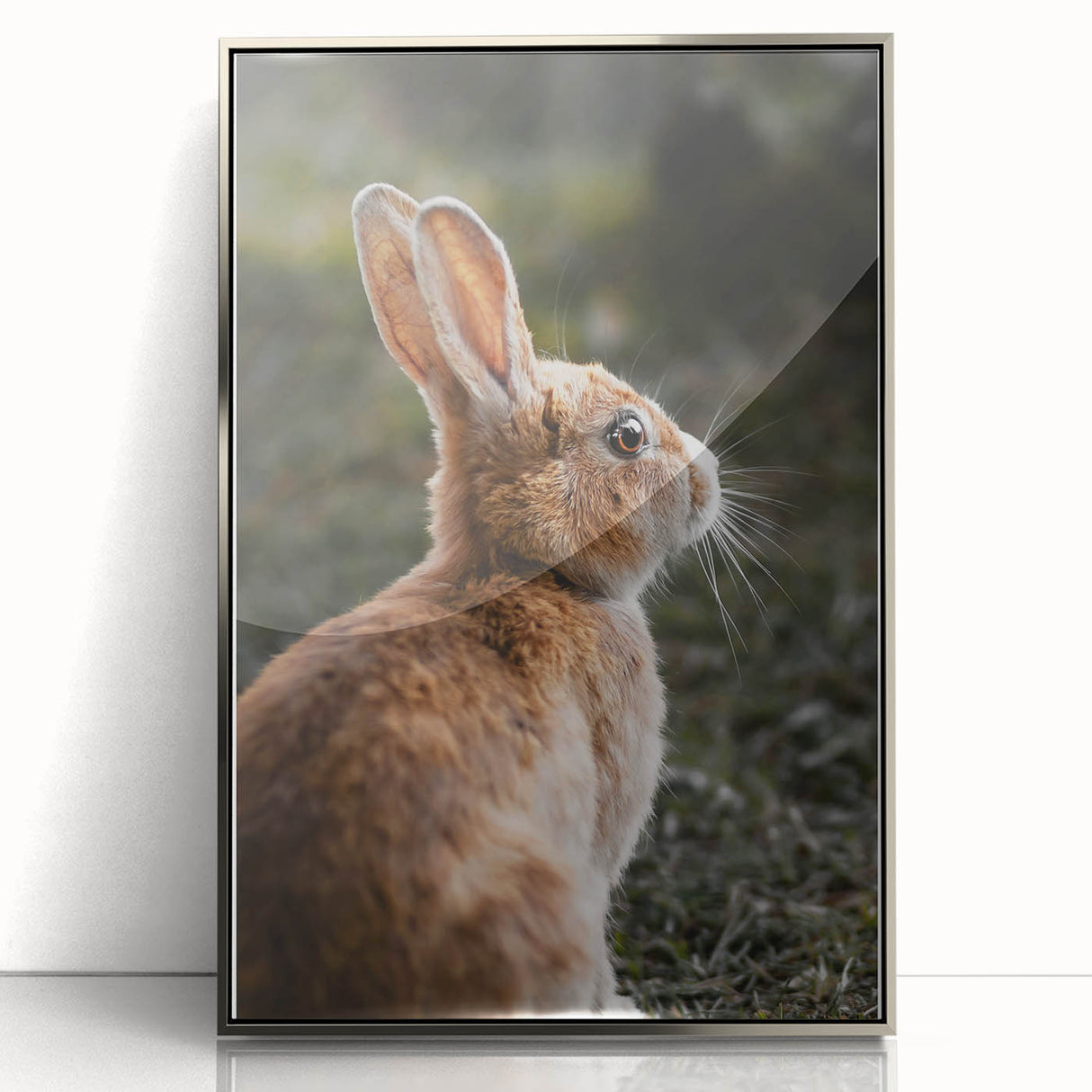 Rustic Bunny Wall Art – Farmhouse Decor with Natural Wildlife Charm