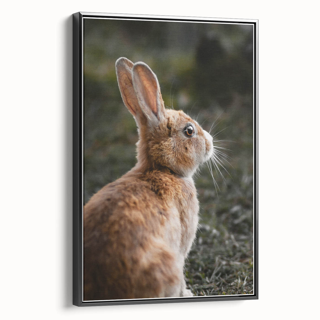 Rustic Bunny Wall Art – Farmhouse Decor with Natural Wildlife Charm