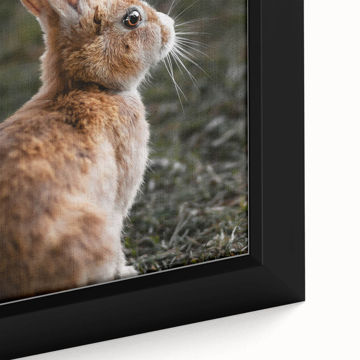 Rustic Bunny Wall Art – Farmhouse Decor with Natural Wildlife Charm