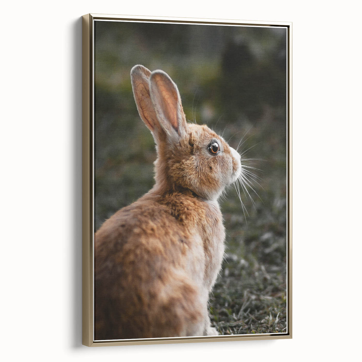 Rustic Bunny Wall Art – Farmhouse Decor with Natural Wildlife Charm