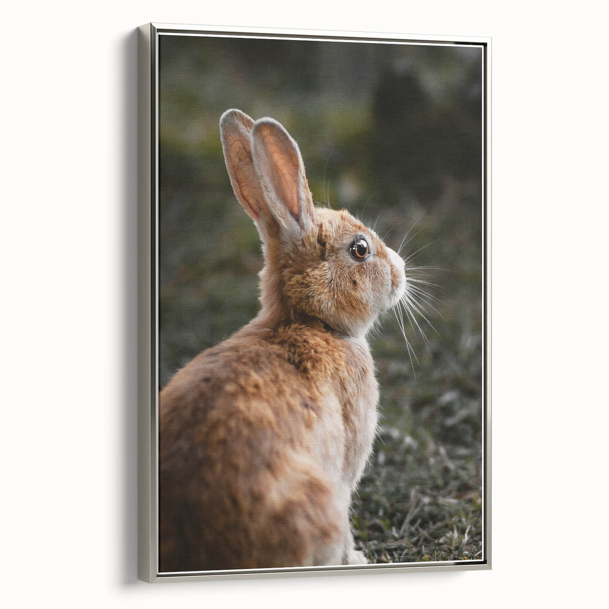 Rustic Bunny Wall Art – Farmhouse Decor with Natural Wildlife Charm