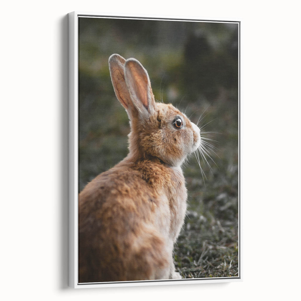 Rustic Bunny Wall Art – Farmhouse Decor with Natural Wildlife Charm