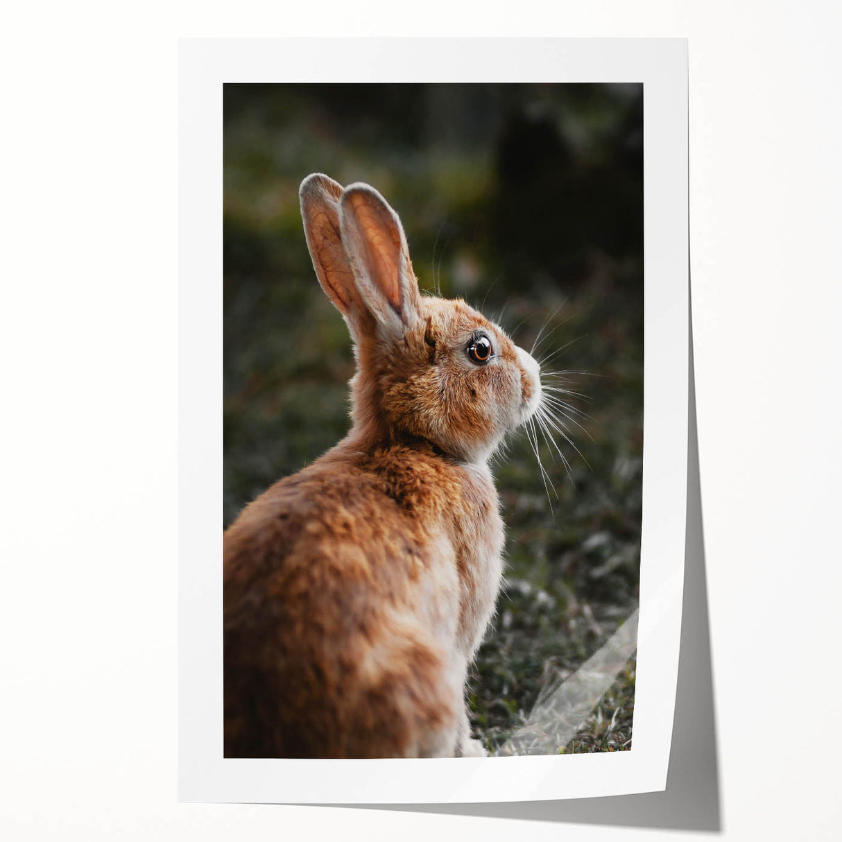 Rustic Bunny Wall Art – Farmhouse Decor with Natural Wildlife Charm