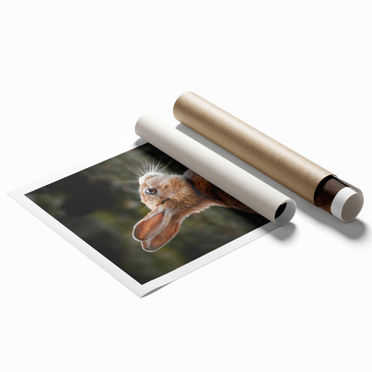 Rustic Bunny Wall Art – Farmhouse Decor with Natural Wildlife Charm