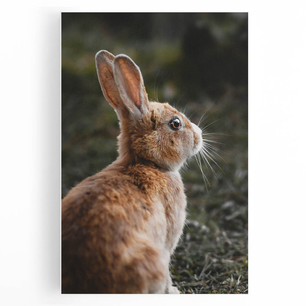 Rustic Bunny Wall Art – Farmhouse Decor with Natural Wildlife Charm