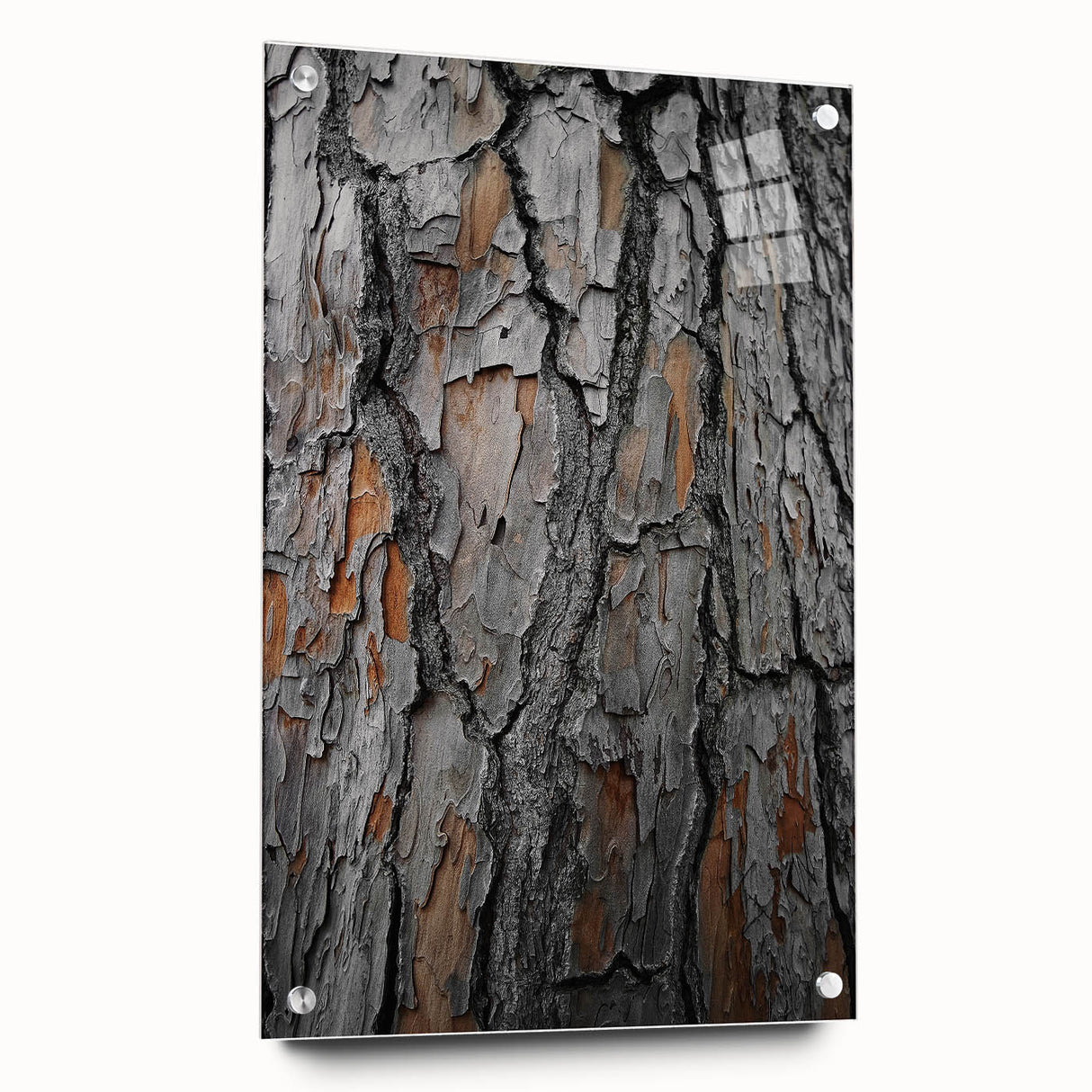 Rustic Tree Bark Texture Wall Art – Nature-Inspired Farmhouse Decor